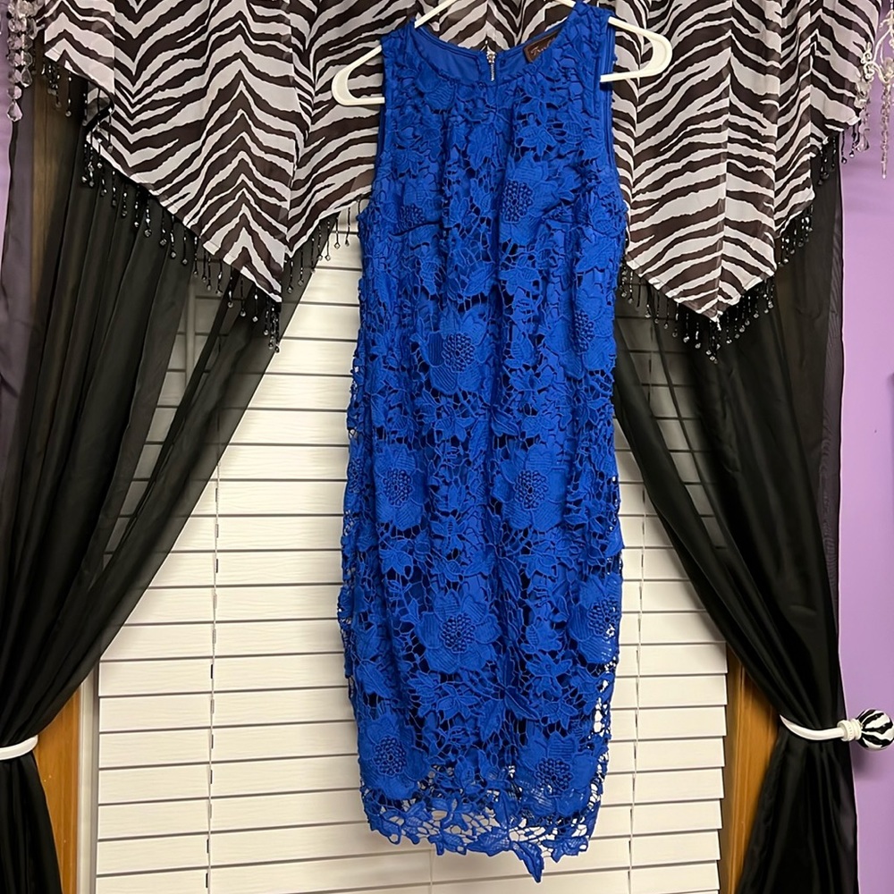Royal blue lace fitted cocktail dress